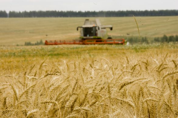 รัสเซียให้การอุปถัมภ์ภาคการเกษตรของประเทศต่อไปภายหลังเข้าเป็นสมาชิกองค์การการค้าโลก